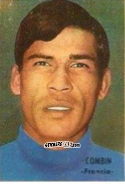 Sticker Combin - Campeonato Mundial de Fútbol 1966
 n. 141 - DISGRA
