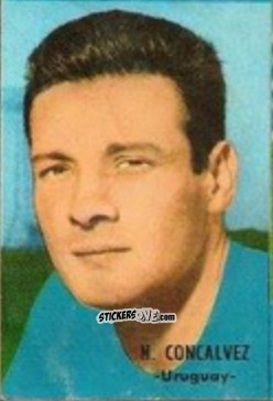 Cromo Néstor Gonçalves - Campeonato Mundial de Fútbol 1966
 n. 264 - DISGRA