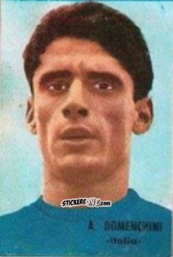 Sticker Domenghini - Campeonato Mundial de Fútbol 1966
 n. 191 - DISGRA