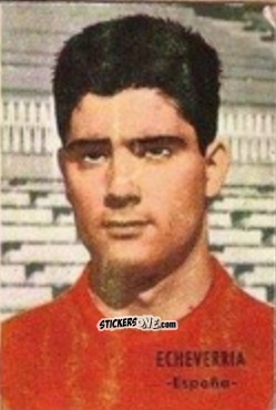 Figurina Echeverría - Campeonato Mundial de Fútbol 1966
 n. 100 - DISGRA