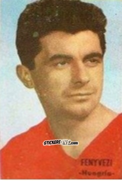 Sticker Máté Fenyvesi - Campeonato Mundial de Fútbol 1966
 n. 160 - DISGRA