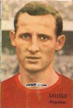 Figurina Gallego - Campeonato Mundial de Fútbol 1966
 n. 115 - DISGRA