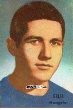 Sticker Gelei - Campeonato Mundial de Fútbol 1966
 n. 146 - DISGRA