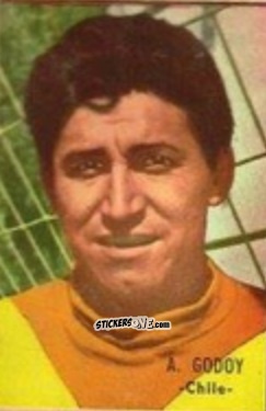 Sticker Godoy - Campeonato Mundial de Fútbol 1966
 n. 81 - DISGRA