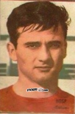 Figurina Hosp - Campeonato Mundial de Fútbol 1966
 n. 253 - DISGRA