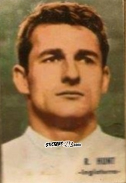 Sticker Hunt - Campeonato Mundial de Fútbol 1966
 n. 176 - DISGRA