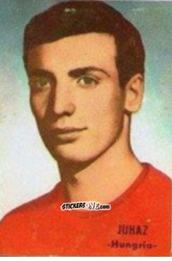 Figurina Kalman Ihasz - Campeonato Mundial de Fútbol 1966
 n. 150 - DISGRA