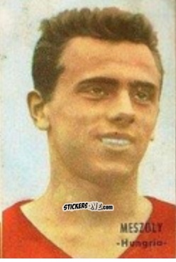 Sticker Meszoly - Campeonato Mundial de Fútbol 1966
 n. 148 - DISGRA