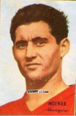 Sticker Molnar - Campeonato Mundial de Fútbol 1966
 n. 155 - DISGRA