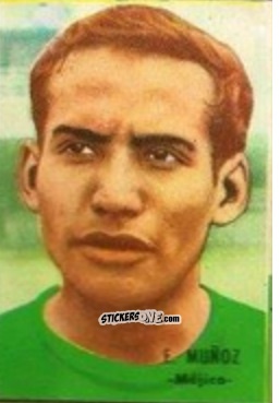 Sticker Muñoz - Campeonato Mundial de Fútbol 1966
 n. 205 - DISGRA