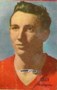 Sticker Nagy - Campeonato Mundial de Fútbol 1966
 n. 153 - DISGRA