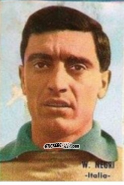 Sticker Negri - Campeonato Mundial de Fútbol 1966
 n. 178 - DISGRA