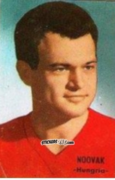 Sticker Deszo Novak - Campeonato Mundial de Fútbol 1966
 n. 151 - DISGRA