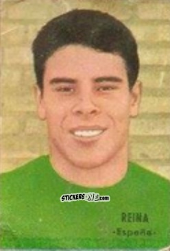Cromo Reina - Campeonato Mundial de Fútbol 1966
 n. 113 - DISGRA