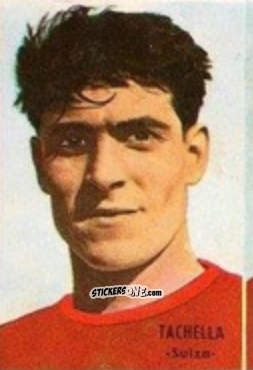 Sticker Ely Tacchella - Campeonato Mundial de Fútbol 1966
 n. 251 - DISGRA