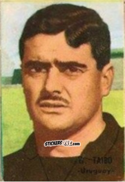 Sticker Taibo - Campeonato Mundial de Fútbol 1966
 n. 257 - DISGRA