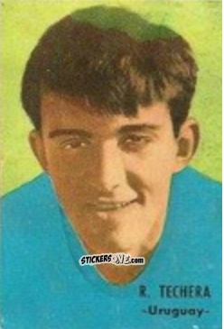 Sticker Techera - Campeonato Mundial de Fútbol 1966
 n. 263 - DISGRA