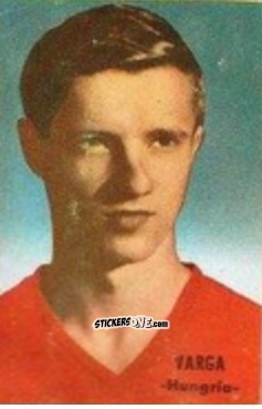 Figurina Varga - Campeonato Mundial de Fútbol 1966
 n. 158 - DISGRA