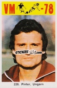 Sticker Pinter - Fodbold Argentina 1978
 - LIBERO VM
