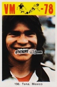 Sticker Tena - Fodbold Argentina 1978
 n. 196 - LIBERO VM

