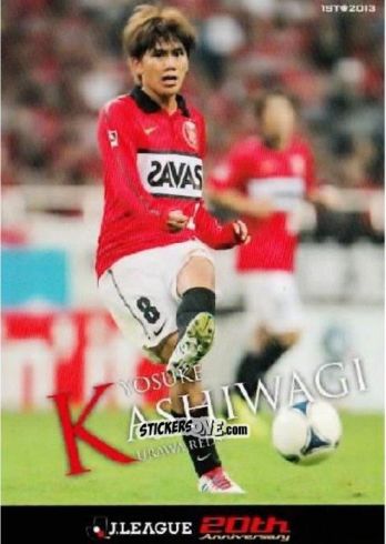 Sticker Yosuke Kashiwagi