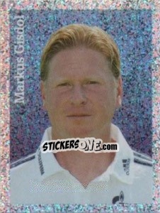 Figurina Markus Gisdol - FC Schalke 04. 2012-2013 - Panini