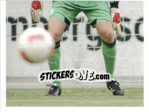 Cromo Timo Hildebrand - FC Schalke 04. 2012-2013 - Panini