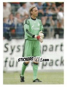 Cromo Timo Hildebrand - FC Schalke 04. 2012-2013 - Panini