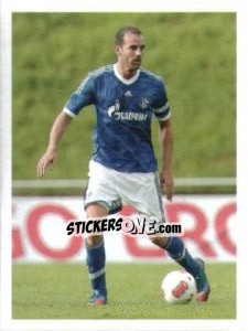 Cromo Christoph Metzelder - FC Schalke 04. 2012-2013 - Panini
