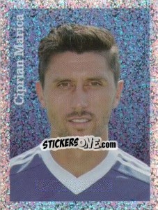 Sticker Ciprian Marica - FC Schalke 04. 2012-2013 - Panini