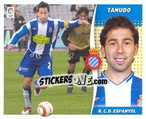 Cromo Tamudo - Liga Spagnola 2006-2007 - Colecciones ESTE