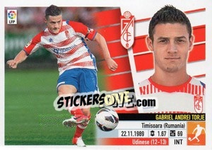 Sticker Torje (12) - Liga Spagnola 2013-2014 n. 314 - Colecciones ESTE