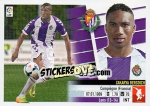 Sticker Bergdich (7) - Liga Spagnola 2013-2014 n. 578 - Colecciones ESTE