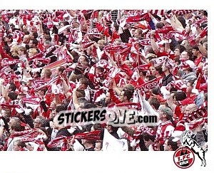 Cromo Fans - Fc Köln 2011-2012 - Panini