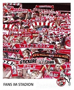 Cromo Fans Im Stadion - Fc Köln 2011-2012 - Panini