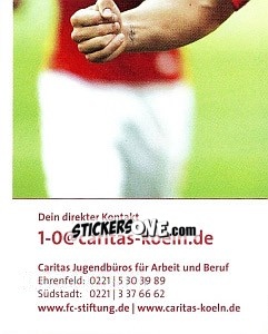 Cromo Stiftung 1.Fc Köln - Fc Köln 2011-2012 - Panini