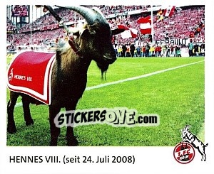 Sticker Hennes Viii. (Seit 24. Juli 2008)
