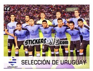 Sticker Equipo