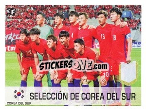 Sticker Equipo