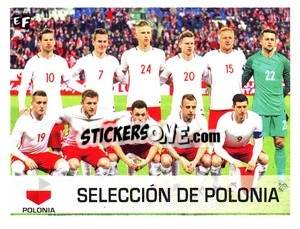 Sticker Equipo