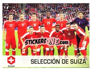 Sticker Equipo