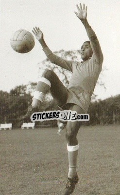 Sticker Eusebio - Football Greats 1986 n. 11 - FAX-PAX
