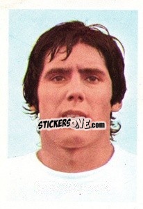 Sticker Carlos Santillana (Real Madrid)