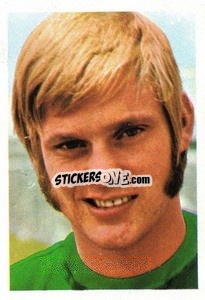 Sticker Ronnie Hellstrom (Kaiserslautern) - Euro Soccer Stars 1977 n. 118 - FKS