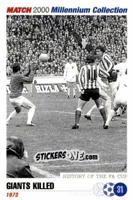 Cromo Team 1973 - Millennium Collection 2000 n. 31 - MATCH