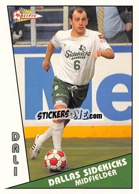 Cromo Dali - Major Soccer League (MSL) 1991-1992 - Pacific