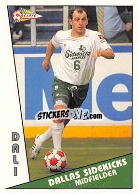 Sticker Dali - Major Soccer League (MSL) 1991-1992 n. 83 - Pacific