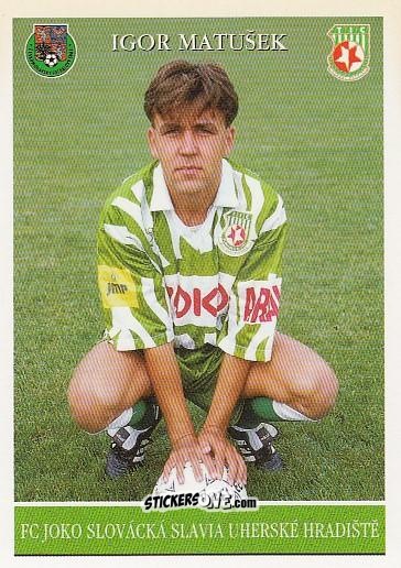 Cromo I. Matusek - 1.Fotbalova Liga 1995-1996 n. 224 - Papyro
