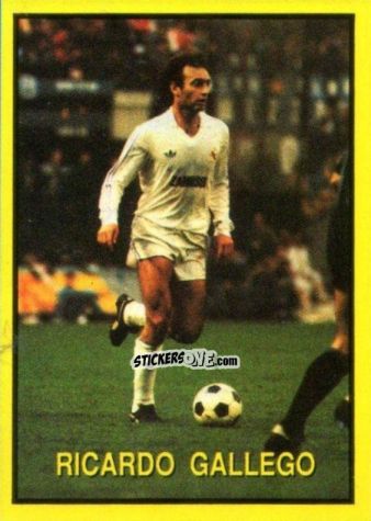 Figurina Ricardo Gallego - Les Grands Joueurs d'Europe 1988 n. 116 - Vallardi