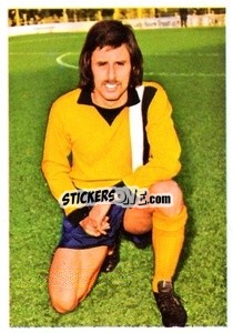 Cromo Alan Garner - The Wonderful World of Soccer Stars 1974-1975 - FKS